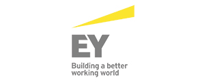 Ernst & Young Financial Business Advisors